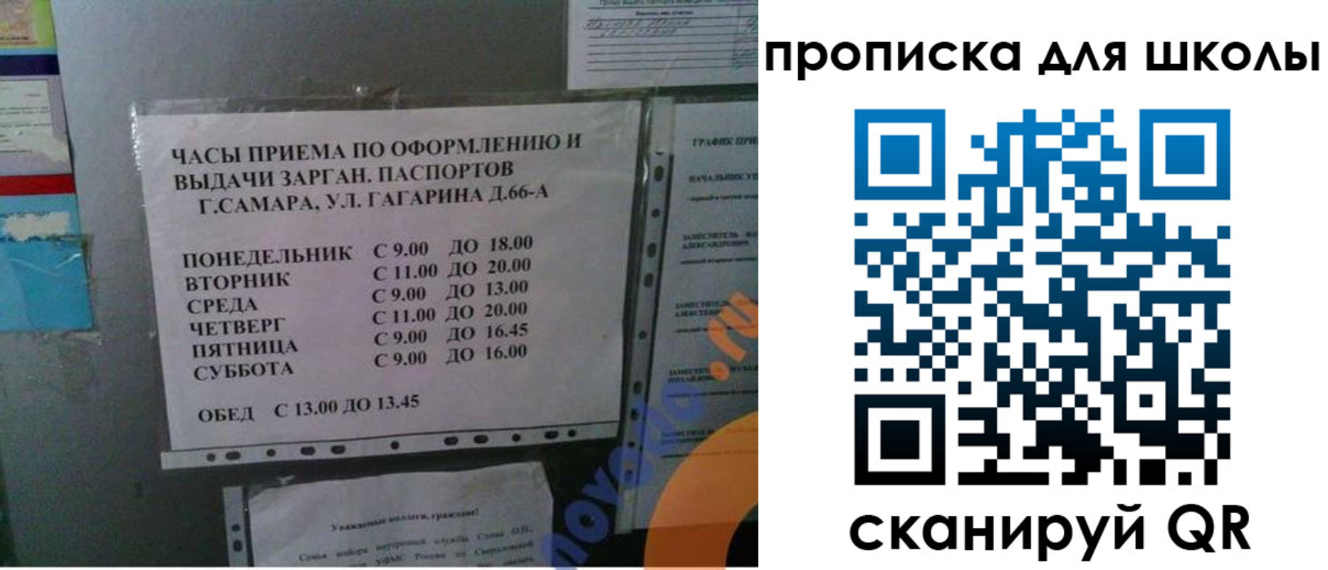 где прописаться в Сураже